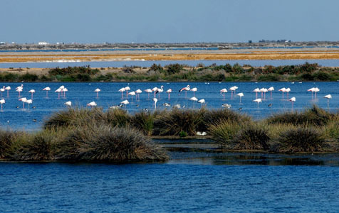 Turismo-y-Desarrollo-Sostenible-Paque-Nacional-Doñana-Huelva