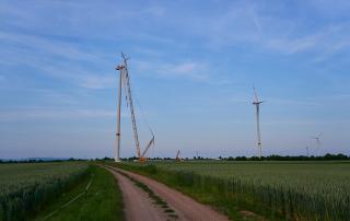 Actuaciones previas en la Evaluación Ambiental