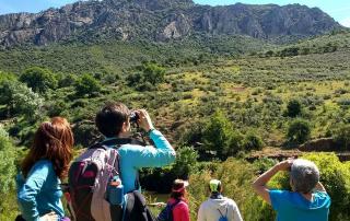 Creación y Gestión de Alojamientos Rurales