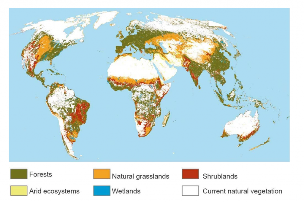 Distribución de los principales tipos de ecosistemas que podrían restaurarse