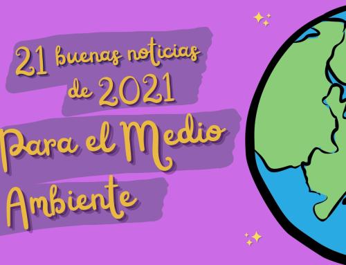 21 buenas noticias sobre Medio Ambiente de 2021