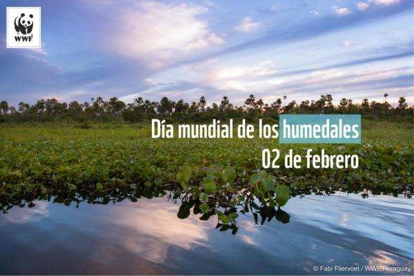 dia_de_los_humedales