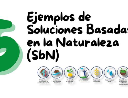 5 ejemplos de Soluciones basadas en la Naturaleza (SbN)