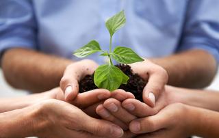 integrar biodiversidad empresa