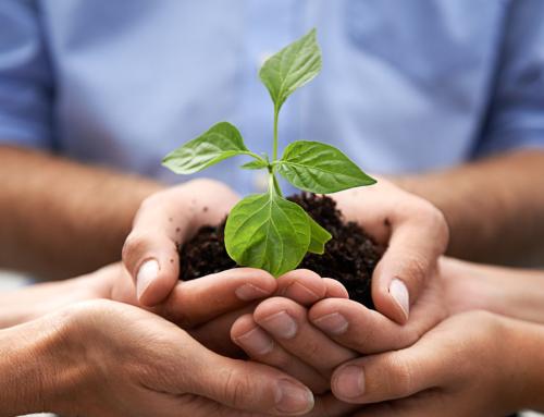 ¿Por qué integrar la biodiversidad en la empresa?