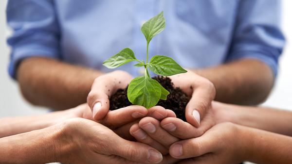 integrar biodiversidad empresa