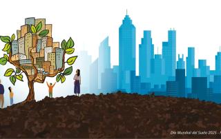 suelo permeable ciudades