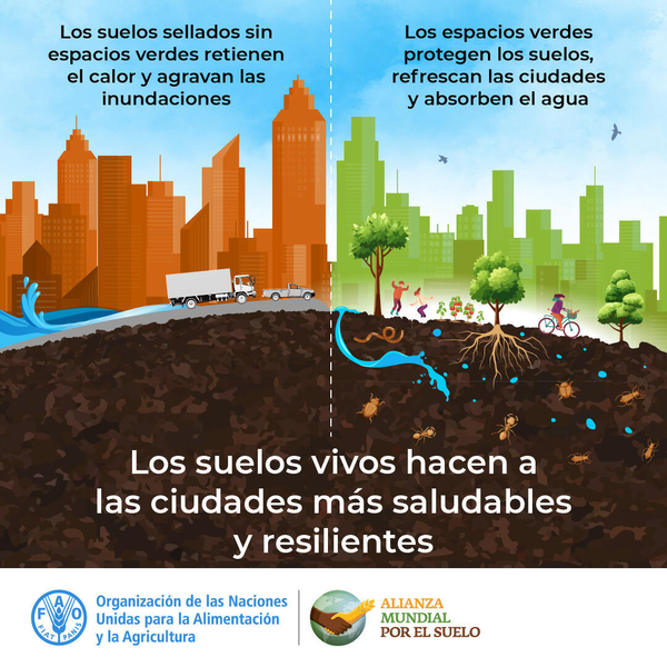 suelo permeable vs sellado ciudades