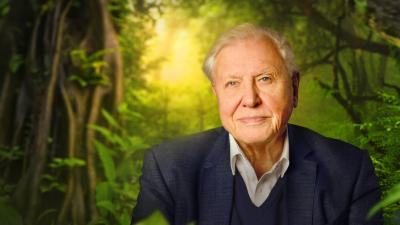David Attenborough lider educacion ambiental