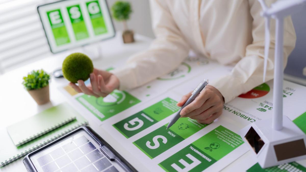 plan director de sostenibilidad