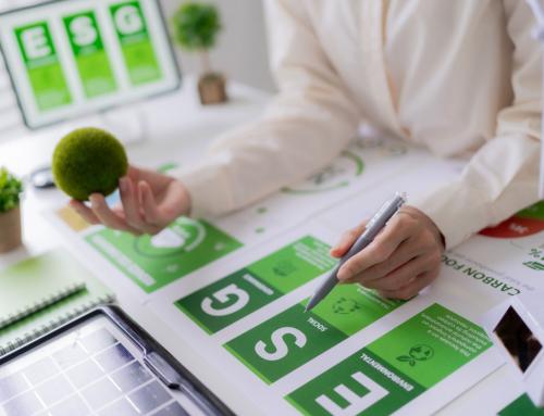 La relevancia estratégica de los planes directores de sostenibilidad en las empresas