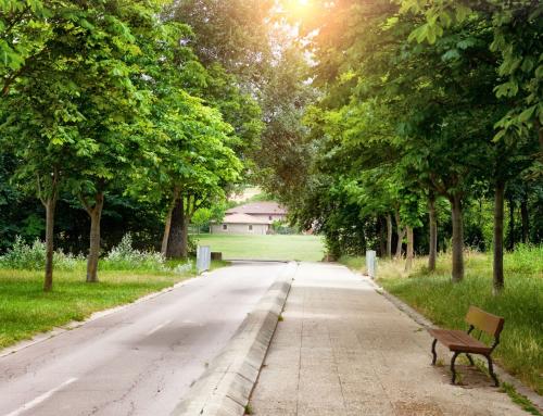 Ciudades sostenibles en España: ejemplos de compromiso medioambiental y urbanismo verde