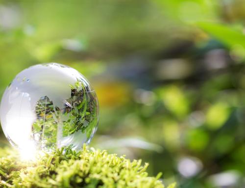 Septiembre, una nueva oportunidad para impulsar tu perfil profesional en el sector ambiental