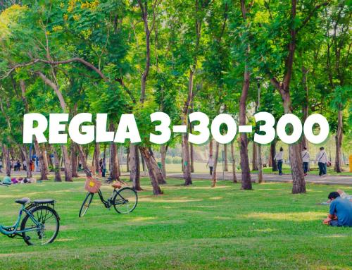 Regla 3-30-300: qué significan sus tres cifras y cómo se aplica en las ciudades